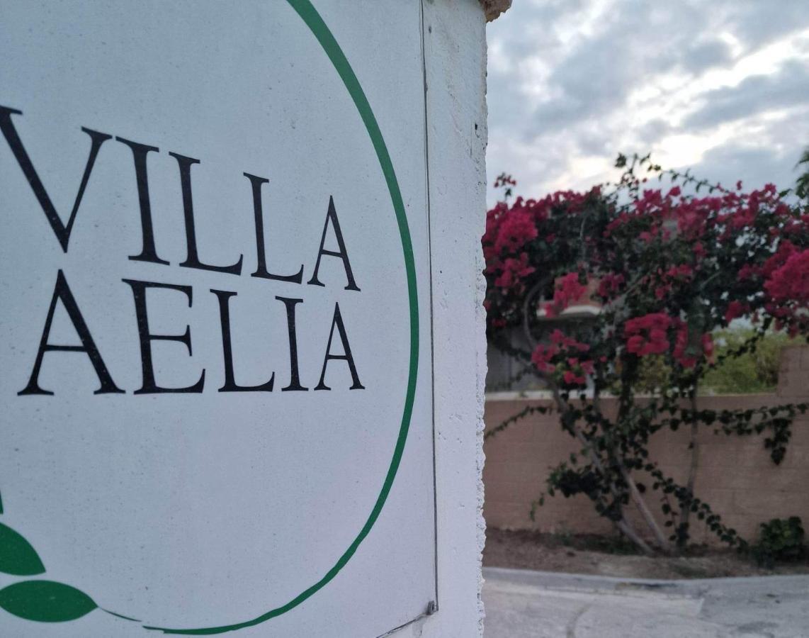 Aelia House Kefalos - Cozy & Quiet Eksteriør bilde